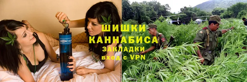 Марихуана White Widow  Краснознаменск 